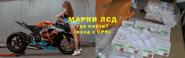 гашик Краснослободск