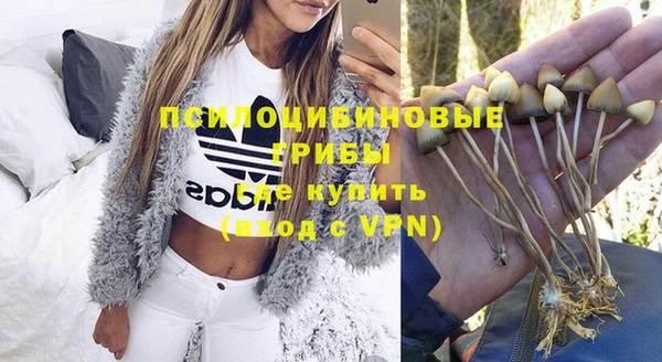 мескалин Красноперекопск