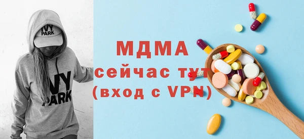 гашик Краснослободск