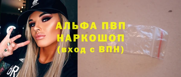 гашик Краснослободск