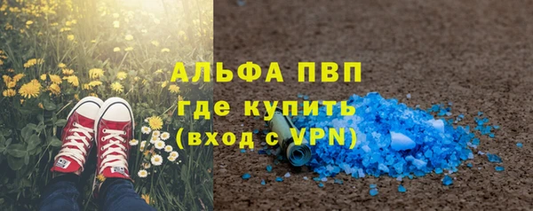 гашик Краснослободск