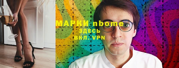 гашик Краснослободск
