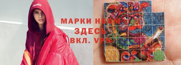гашик Краснослободск