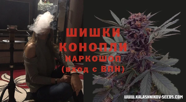гашик Краснослободск