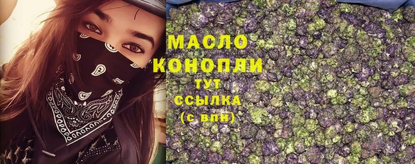 гашик Краснослободск