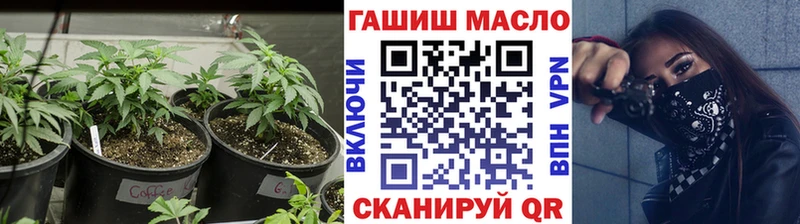 Купить закладки  Мирный  ТГК Wax 