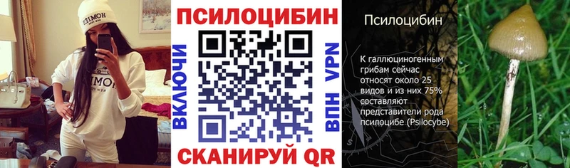 Купить  Мирный  Галлюциногенные грибы Psilocybine cubensis 